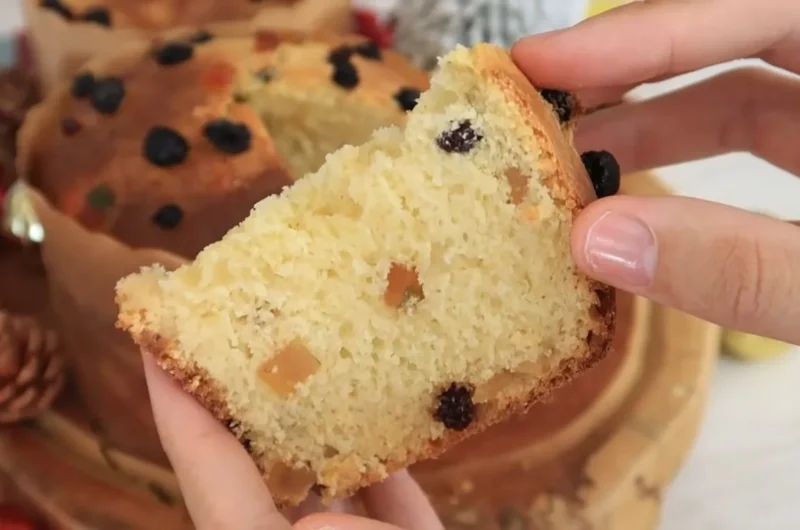 Blender Panettone (without kneading)
