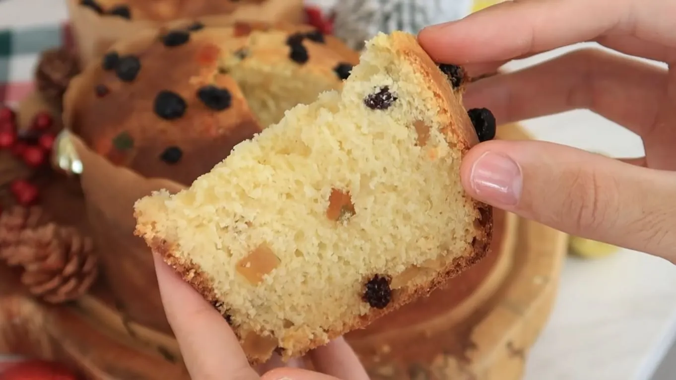 Blender Panettone (without kneading)