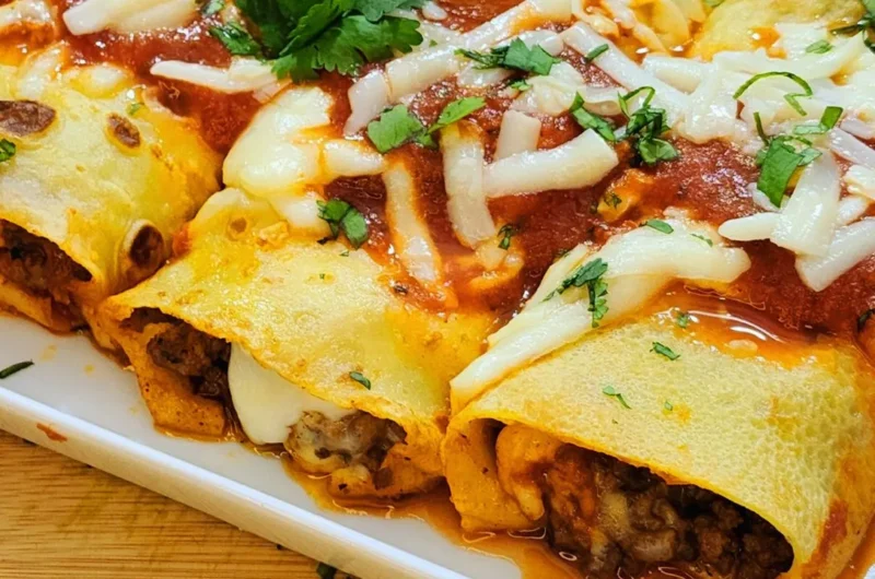 Cooked Ground beef pancake