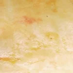Pie Dough