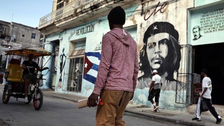 Pro-capitalist reforms. What scope does the constitution of mixed state ...